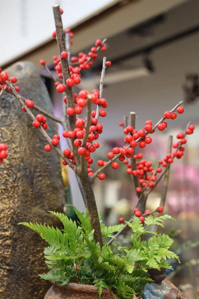 过年要有仪式感，从一束年宵花开始