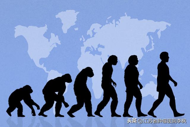 「超级宝妈」妊娠综合征为何这么重？也许试试维生素C可以解决！