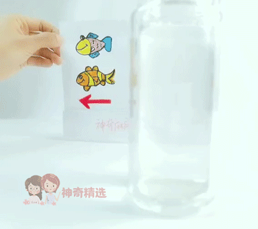 你的育儿经@娃看呆了！这7个易上手的“魔法”小实验，在家就能做，效果赞爆