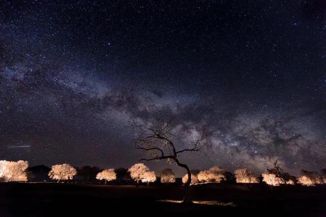 在这里,你会被充满着光与影魅力的草原,星海,白桦树所深深震撼.