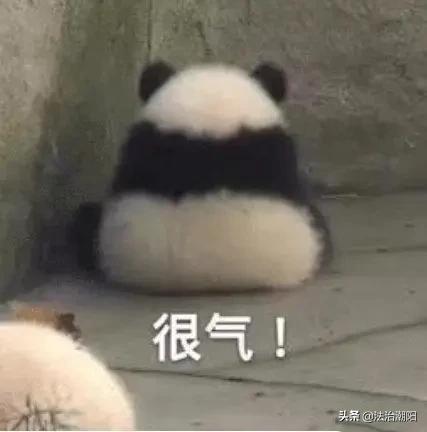 「超级宝妈」痛心！3个月婴儿被活活闷死！亲妈门外全程看着：＂要不要帮她？＂
