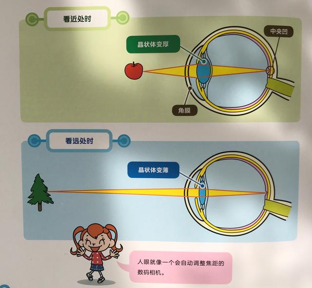 【超级宝妈】为啥近视看不清，为啥非要做眼操？关于眼睛的奥秘都在这里