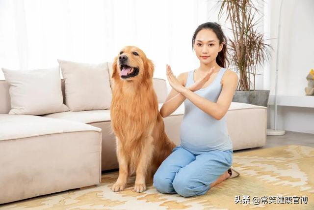 听说，孕妇和宠物不能同屏出现？快来听听专家怎么说