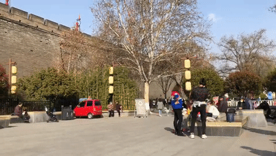 「旅行百事通」实名曝光西安这几个地方的春天，太美了…