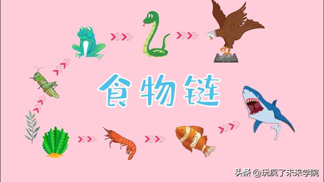 乖小孩|最难学的物化生抽象概念，我们用这些动图让孩子秒懂