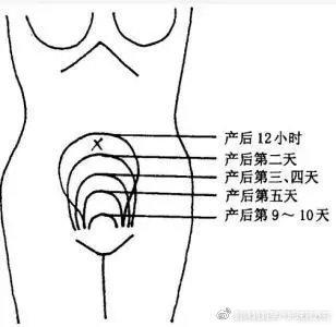 超级宝妈：怎样辨别产后子宫复旧是否良好