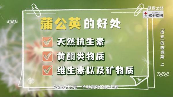 野菜|这些常见的野菜不仅能做美食，还能治病？赶紧收藏