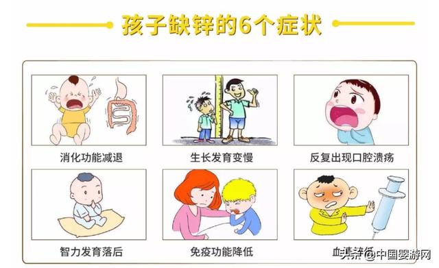 儿女天天乐|缺锌补锌?用对方法是关键!4种食补方法值得学习