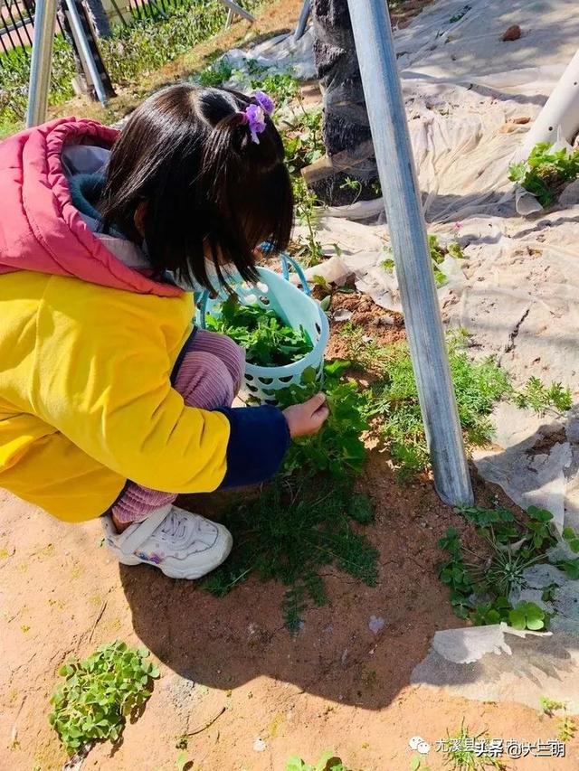 超级宝妈■停课不停学，在家也是幼儿园（二）