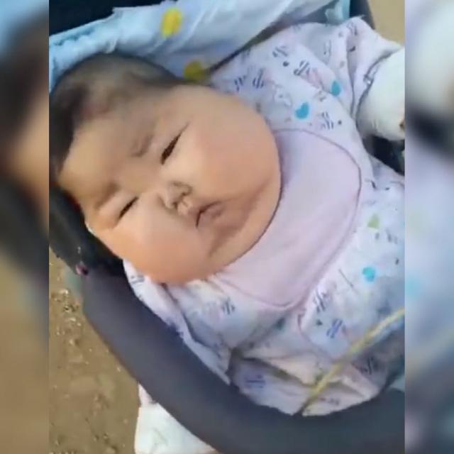 你的育儿经@推车里的“大胖小子”老人都喜欢？网友：已经超出我对可爱的认知
