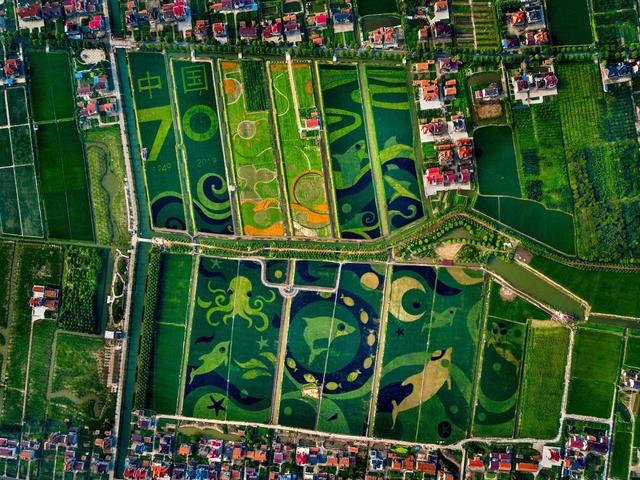 长兴岛第一家海鲜新风味的餐厅，你拔草了吗？