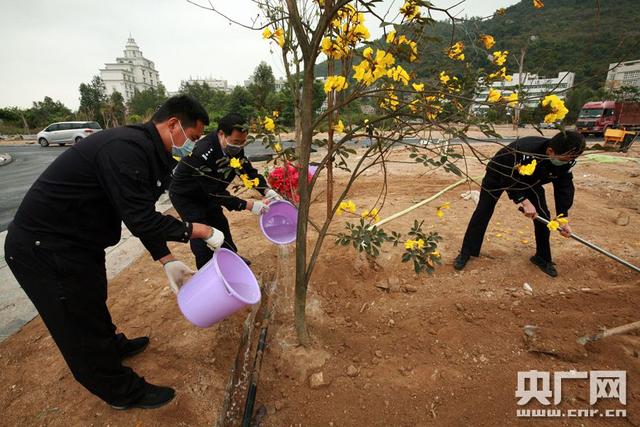 [央广网]珠海万山植百棵新树为海岛添绿