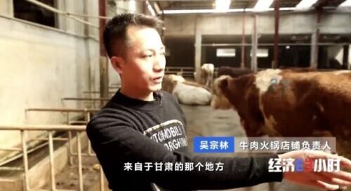 卤鹅|一个原本不产牛的地方，却把牛肉火锅做成“中华名小吃”！潮汕如何做到的？