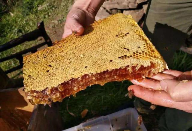 保健食品出事了！这个牌子的蜂胶液上黑榜，这样的原因很失望