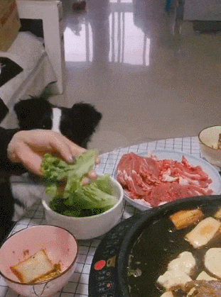 搞笑gif:妹子坐公交车要注意,看好自己穿的衣服