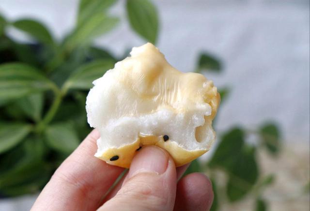 芝士糯米饼，软糯香甜，早饭下午茶是不错的选择，好吃又好看