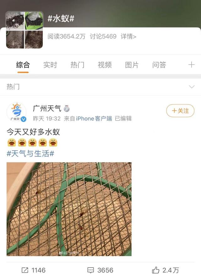 白蚁|@广东人，记得关好门窗