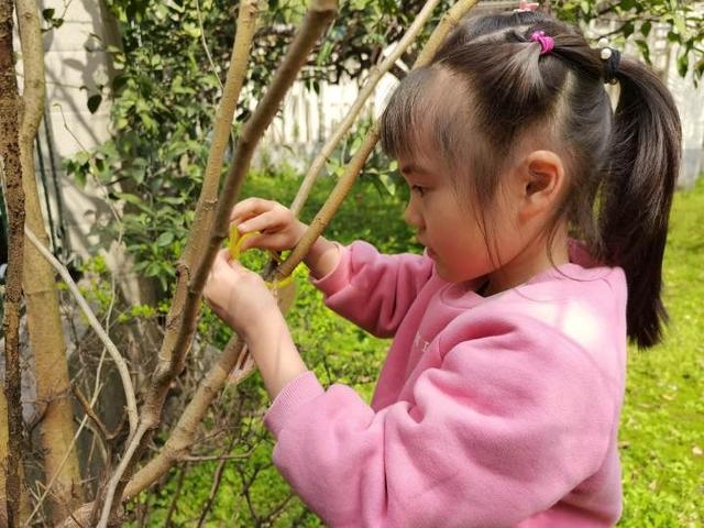 如何拥抱春天？这群幼儿园的娃娃学会了播种绿色