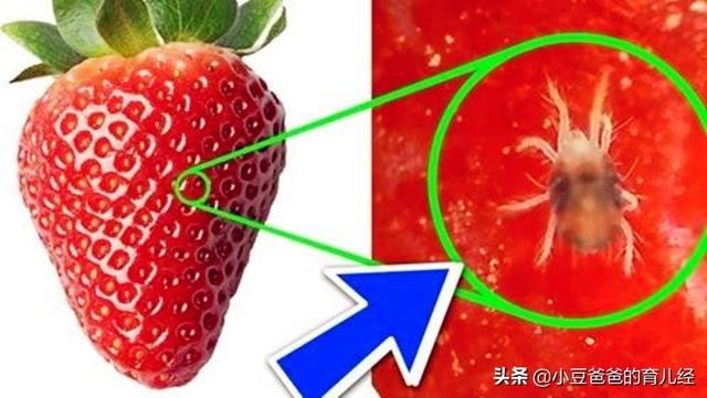 儿科医生：这4种水果含有大量“寄生虫”，再馋也少给孩子吃