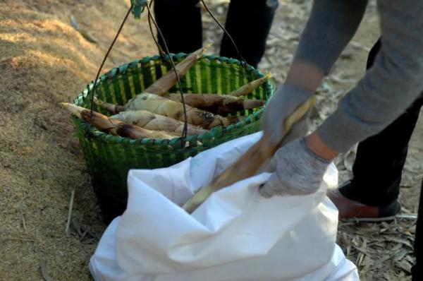 宁波|这口宁波人喜欢的鲜，最佳品尝季到了