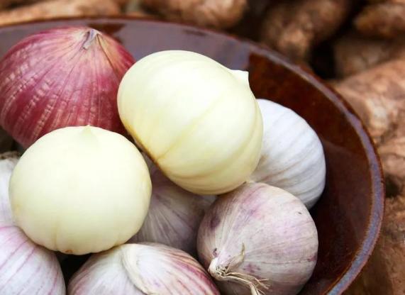 大蒜养花，防腐、防虫还能促发芽，好处多不胜举