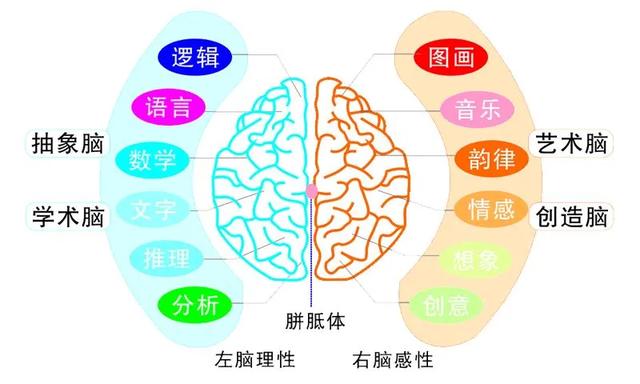 超级宝妈：孩子有这4个“坏毛病”，其实是智商高的表现，家长不要盲目阻止
