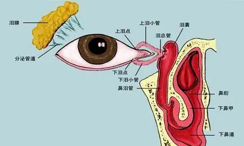 超级宝妈|你家孩子的眼睛还好吗？眼科专家传授鉴别法和小妙招