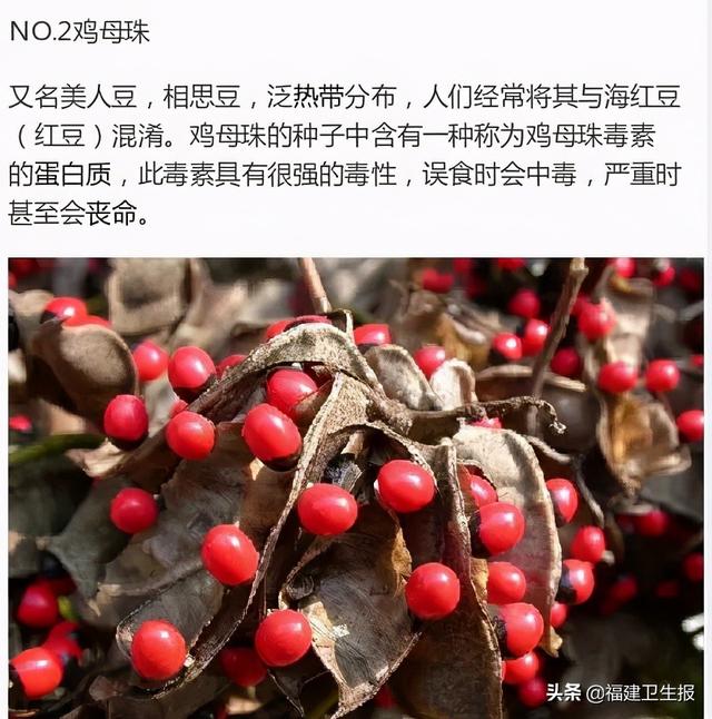 中毒|7人中毒1人死亡!福建疾控紧急提醒