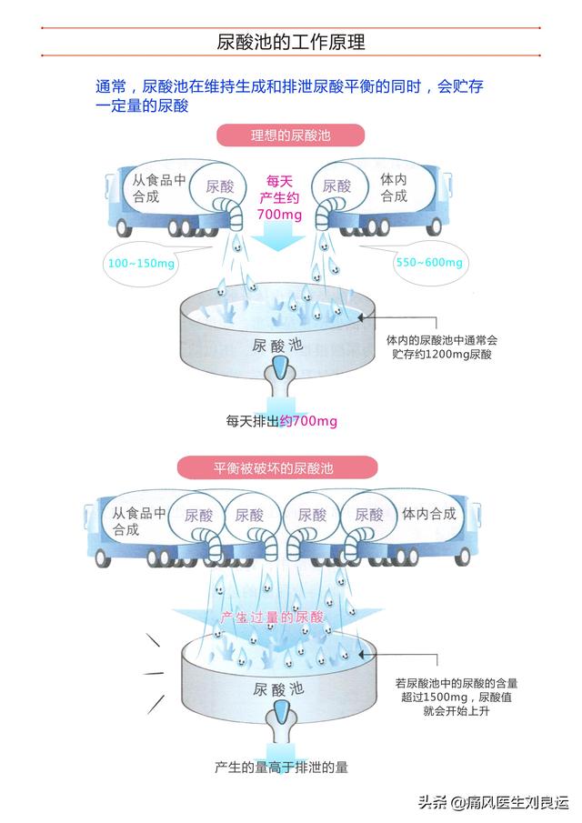 医生总说痛风患者降尿酸要多喝水排尿，这三种水喝了尿酸不降反升