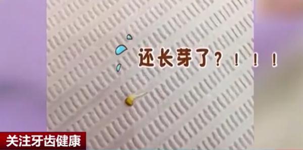 口腔|什么？草莓籽竟在嘴里发芽了