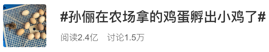 『暖先生格调』刘真去世，4岁女儿不知道妈妈走了？几岁可以和孩子谈生死？