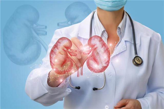 解泡沫尿，乏力，纳差—这些可能是肾脏问题的警告信号