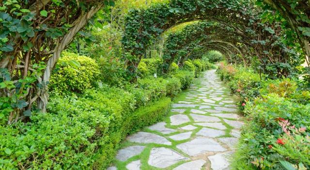 「旅行柚子君」浪漫花园:欣赏各地奇珍异草共同生长的繁荣景象