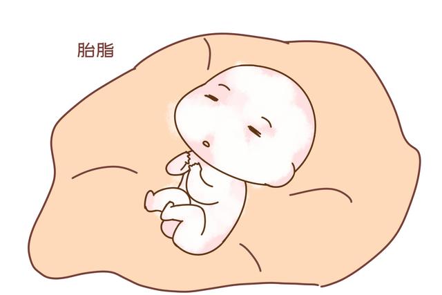 画说育儿：产妇生下“小雪人”，丈夫直言这娃不能要，医生：很幸运