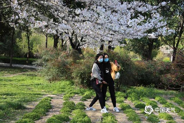 中国天气网:河南驻马店阳光明媚 春花烂漫正当时