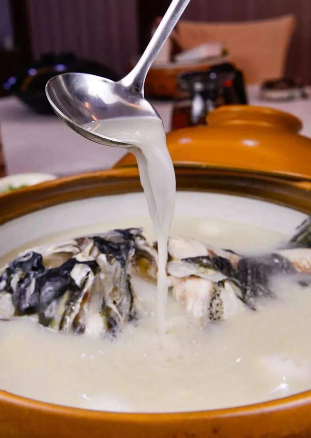 松江人，还没想好年夜饭去哪吃？看这篇文章就够啦→