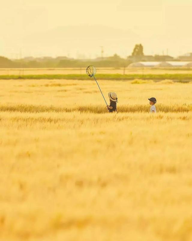 相亲相爱|暖心爸爸晒娃，却把孩子拍成宫崎骏动画，太治愈了