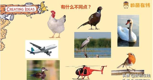 超级宝妈▲观察力是思考的核心能力，四个提高孩子观察力的游戏，家长请重视