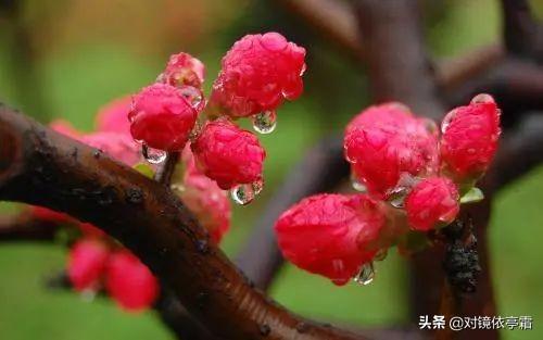 你的育儿经：宝宝出生哪个月份更聪明？出生月份也有讲究