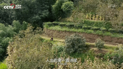 栀蓝：让1000万人又笑又哭的“人生第一次”：我们的孩子，好像一眨眼就长大了