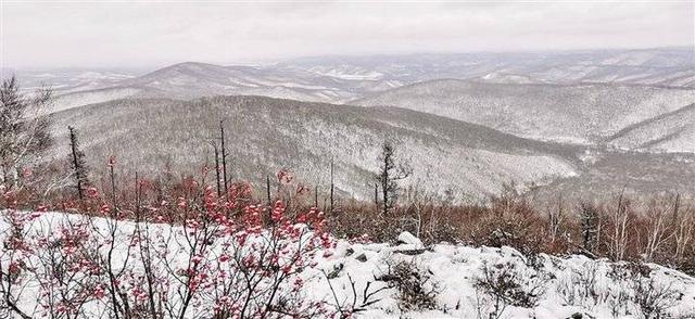 这一生我只做了两件事：吻了一下雪，或者把雪抱在了怀里