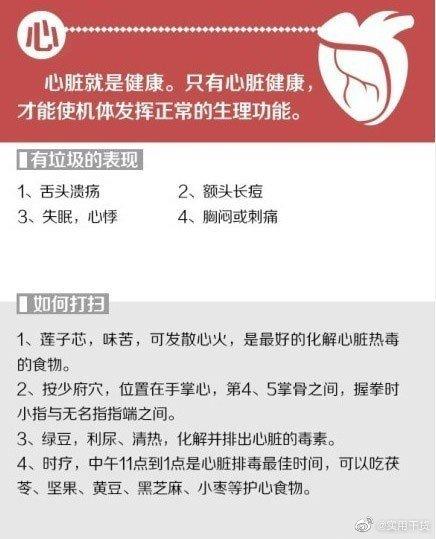 五脏六腑|给你的身体来次大扫除