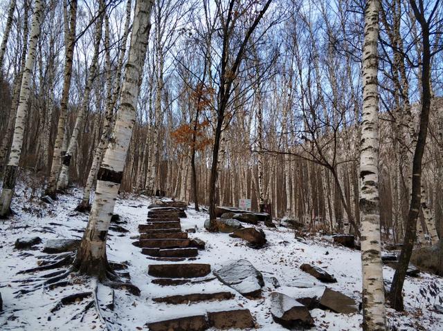 环球网：云游中国 | 喇叭沟原始森林公园