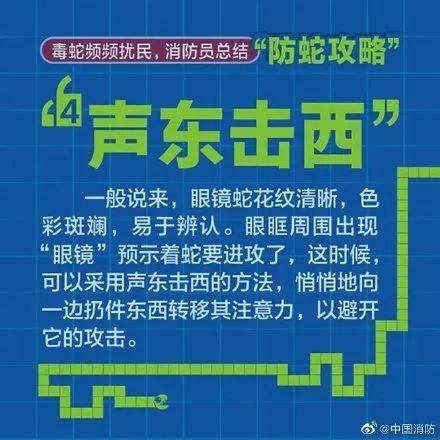 小丽|一朝被蛇咬，九岁女童右手功能丧失