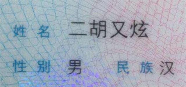 [超级宝妈]双胞胎姓“鸡”，妈妈嫌姓氏难听，要求随母姓，奶奶机智取名