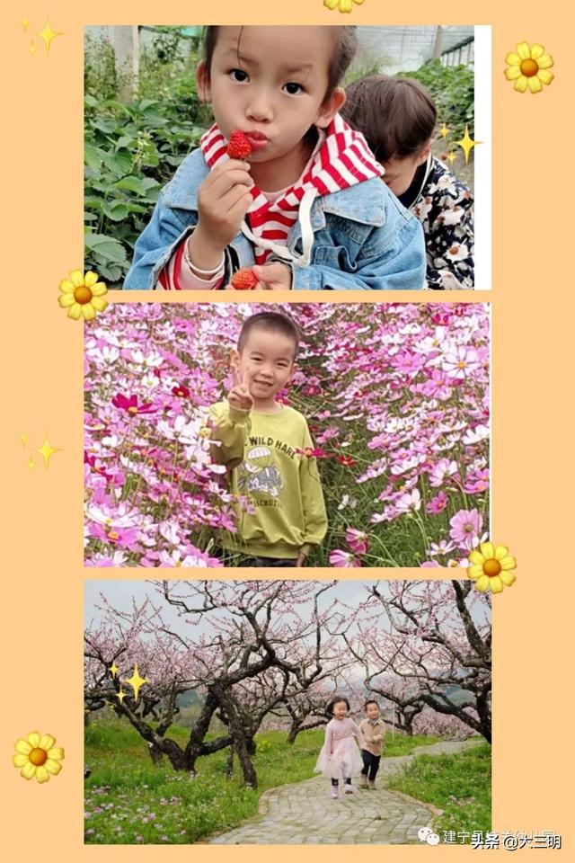 「你的育儿经」“云”上寄相思—建宁县城关幼儿园清明节主题活动