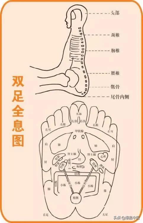 全身穴位治疗口诀大全，配图精华版