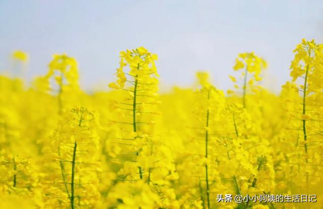 你的育儿经■辛苦备孕无果？先看看这5点建议！