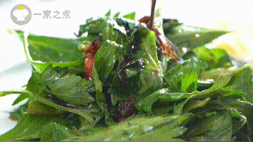 芹菜|夏天没胃口？吃这些菜，美容又清热！家家都能做