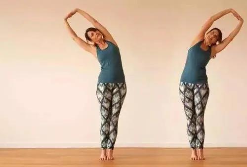 干货分享！深入剖析与腰痛相关的7块肌肉